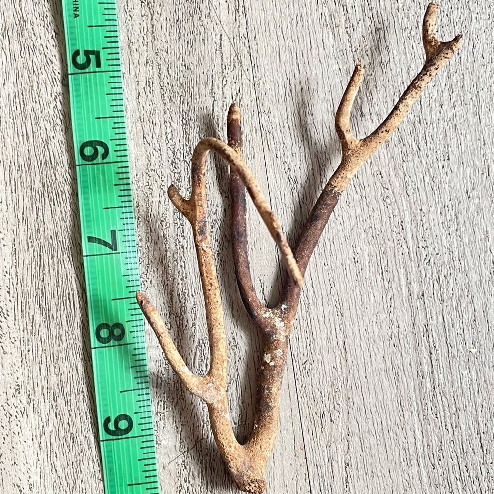 Natural black coral branch spiritual healing house decor